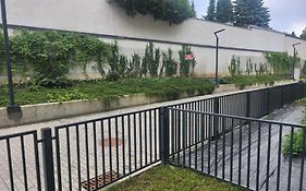 Dwa Jelonki, Ul Sciegiennego, Centrum, Garaz, Ogrodek