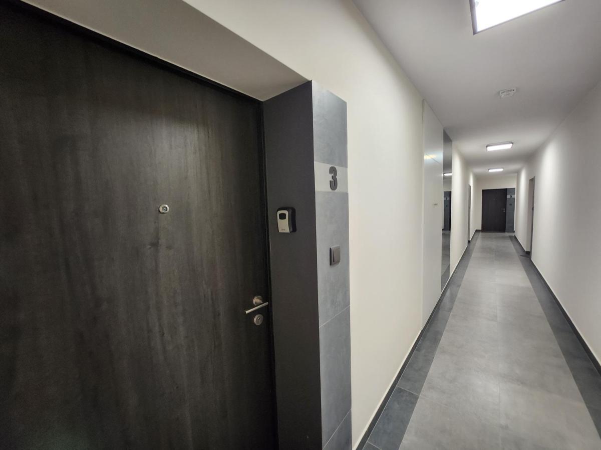 Dwa Jelonki, Ul Sciegiennego, Centrum, Garaz, Ogrodek Kielce Zewnętrze zdjęcie